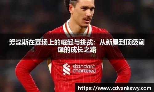 努涅斯在赛场上的崛起与挑战：从新星到顶级前锋的成长之路