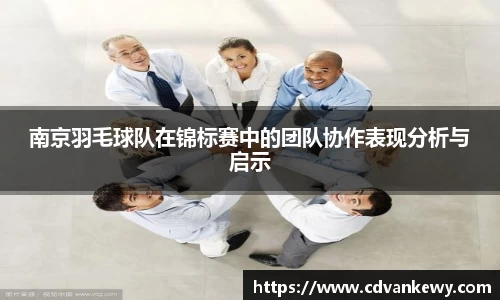 南京羽毛球队在锦标赛中的团队协作表现分析与启示