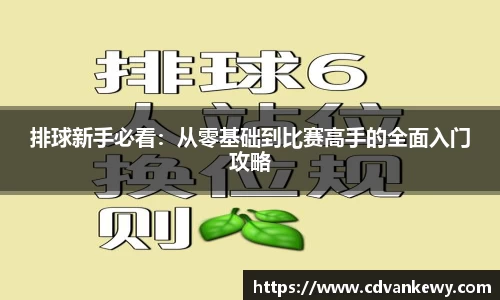 排球新手必看：从零基础到比赛高手的全面入门攻略